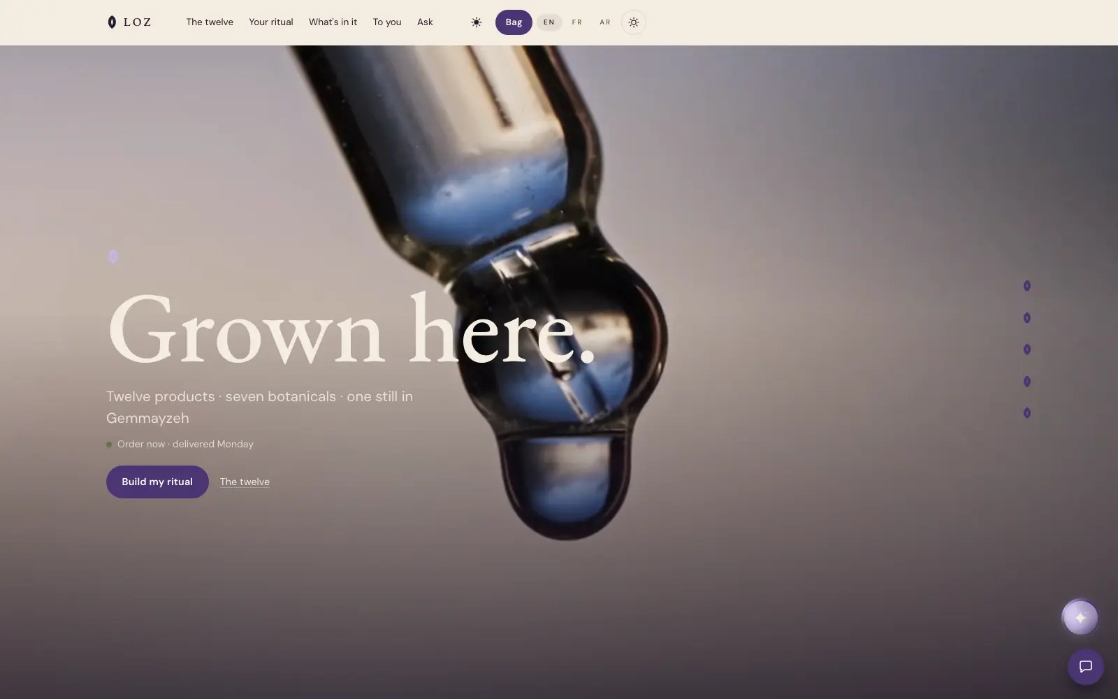 Loz — A catalogue, a bag, and a checkout that ends in one message.