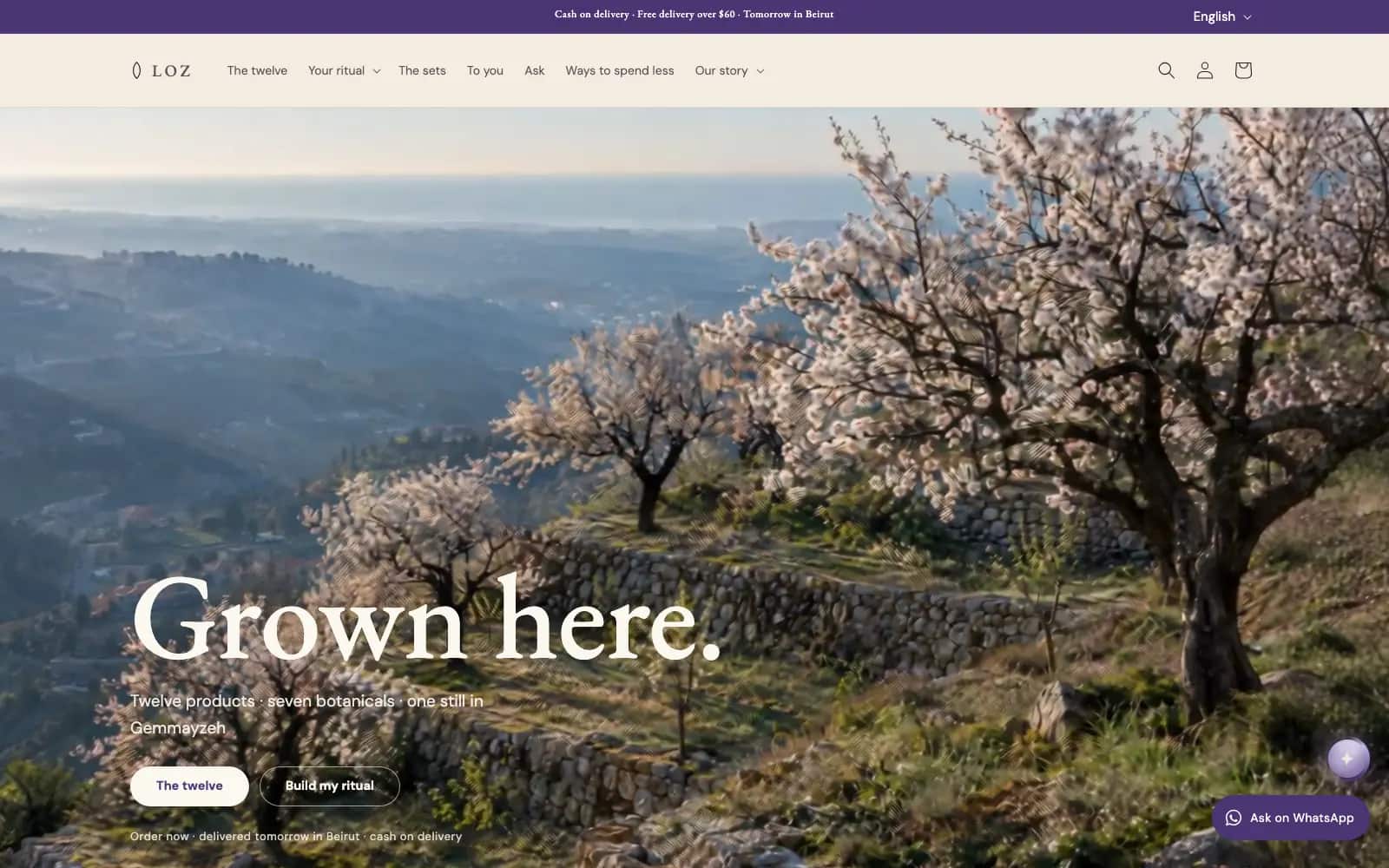 Loz, on Shopify — The same skincare house, as a real Shopify store: live, public, in three languages, with a checkout that takes cash on delivery.
